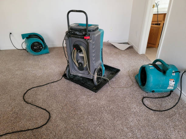 Carpet water damage restoration in MD