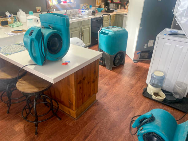 Local water damage restoration in MD