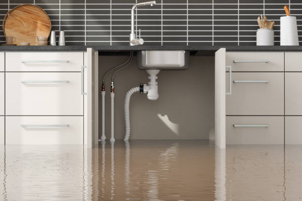 Best Sewage cleanup and water damage restoration  in Willards, MD