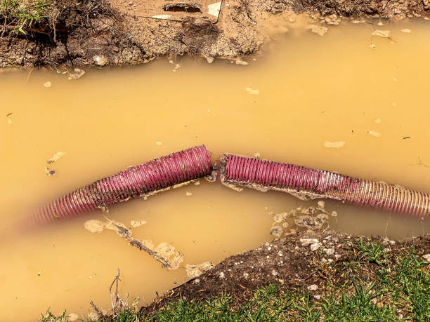 Best 24-hour water damage restoration  in Willards, MD