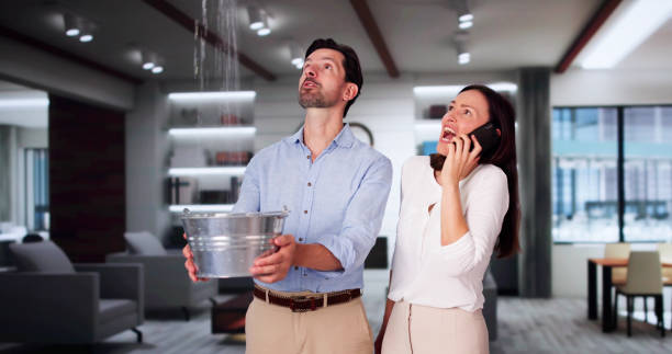 Best 24-hour water damage restoration  in Willards, MD