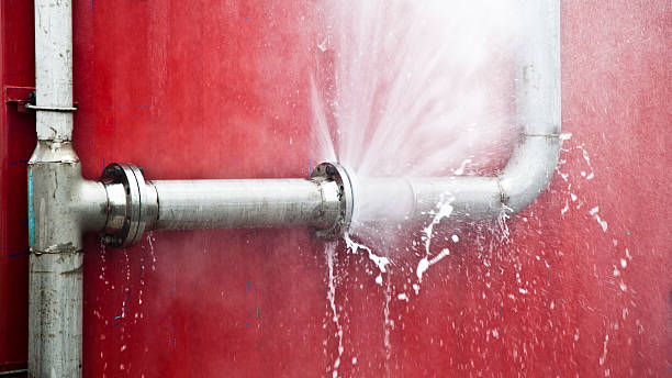 Best Flood damage cleanup  in Willards, MD