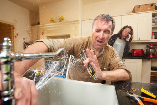Best Basement water damage restoration  in Willards, MD